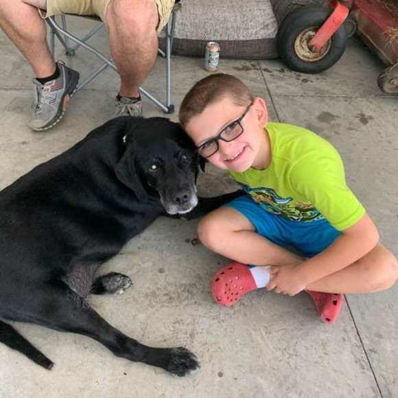 Meet your Posher, Rae - Picture 1 of 1